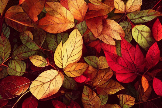 Trendfarben Herbst 2024: So stylen Sie die Saison